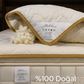 Kuzu Yünü Yorgan Tek Kişilik 155x215 cm 2.5 kg Merinos Kuzu Yünü
